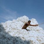 Vietnam Imports Surge as US Exports to China Plummet, Offering Unbeatable Prices on Key Products