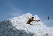 Vietnam Imports Surge as US Exports to China Plummet, Offering Unbeatable Prices on Key Products