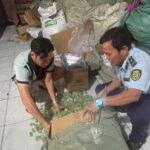 Unearthed: Over 1 Ton of Unlabeled Gummy Candy Flooding Online Markets