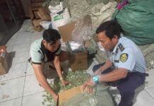 Unearthed: Over 1 Ton of Unlabeled Gummy Candy Flooding Online Markets