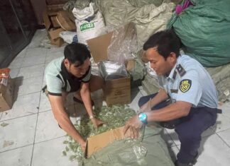 Unearthed: Over 1 Ton of Unlabeled Gummy Candy Flooding Online Markets