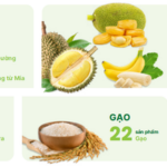 AgriS Launches 2025-2026 Fiscal Year with Focus on Accelerated Innovation and Global Expansion