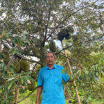“The $30/kg Durian That’s Selling Out Faster Than Ever”