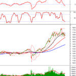 Technical Analysis Afternoon Session 07/11: A Critical Test in Progress
