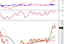 Vietstock Weekly 03-07/11/2025: Rising Risks?