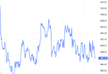 Derivatives Market Update 06/11/2025: Cautious Sentiment Emerges
