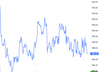 Derivatives Market Update 06/11/2025: Cautious Sentiment Emerges