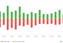Stock Market Week 03-07/11/2025: VN-Index Plunges Below 1,600 Points – Is the Downtrend Far from Over?
