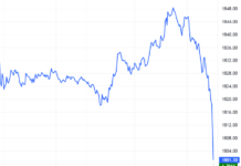 Derivatives Market on November 11, 2025: Pessimism Prevails