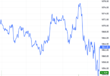 Derivatives Market on November 14, 2025: Mixed Signals Emerge