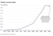VinFast Surpasses Tesla in Asian Market, Challenging Elon Musk’s Trillion-Dollar Ambitions