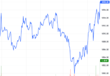 Derivatives Market on November 19, 2025: Investors Maintain Optimistic Outlook