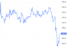 Derivatives Market on November 20, 2025: Market Liquidity Declines Ahead of Expiry Session