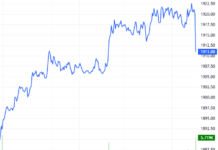 Derivatives Market Update: Investor Sentiment Continues to Strengthen on November 25, 2025