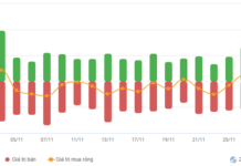 Stock Market Week 24-28/11/2025: A Deceptive Rally