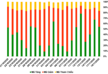 November 19, 2025: Warrant Market Shows Signs of Investor Confidence Recovery