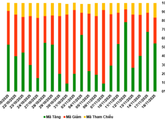November 19, 2025: Warrant Market Shows Signs of Investor Confidence Recovery