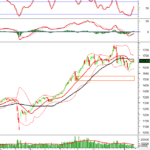 Afternoon Technical Analysis, November 20th: Market Polarization Persists