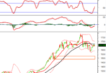 Afternoon Technical Analysis, November 20th: Market Polarization Persists
