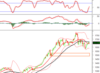 Afternoon Technical Analysis, November 20th: Market Polarization Persists