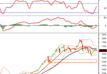 Technical Analysis Afternoon Session 21/11: Red Dominates the Market