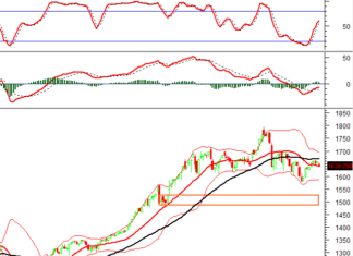 Technical Analysis for the Afternoon Session of November 21: Red Dominates the Market