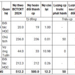 HQC Delays Issuance of 50 Million Debt-Swapped Shares, Invests Over VND 660 Billion in Social Housing Projects in Ca Mau
