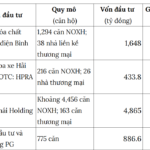 “Earning Nearly $1,500 Monthly but Declaring Under $650: How One Individual Successfully Purchased Social Housing in Hai Phong”