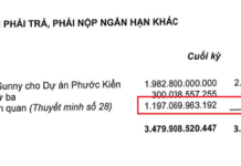 QCG Borrows Over $43 Million from Acquaintances to Redeem Bắc Phước Kiển Project?
