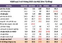 “HQC Achieves Only 25% of Annual Profit Plan After 9 Months, Embarks on VND 1.2 Trillion Social Housing Project in Ca Mau”