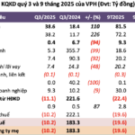 Van Phat Hung Reports Fourth Consecutive Quarterly Loss Despite Doubling Revenue Year-Over-Year
