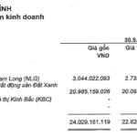 “VÄ©nh Hoà n, the ‘Queen of Pangasius,’ Reports Strong Q3 Earnings as Real Estate Stock Prices Rebound”