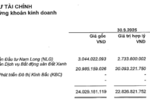 “VÄ©nh Hoà n, the ‘Queen of Pangasius,’ Reports Strong Q3 Earnings as Real Estate Stock Prices Rebound”