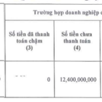 HBC Reports Hundred-Billion Profit but Fails to Repay VND 12.4 Billion in Bond Principal