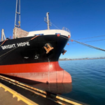 Vinaship Acquires New $9 Million Vessel Amidst Business Downturn