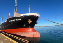 Vinaship Acquires New $9 Million Vessel Amidst Business Downturn