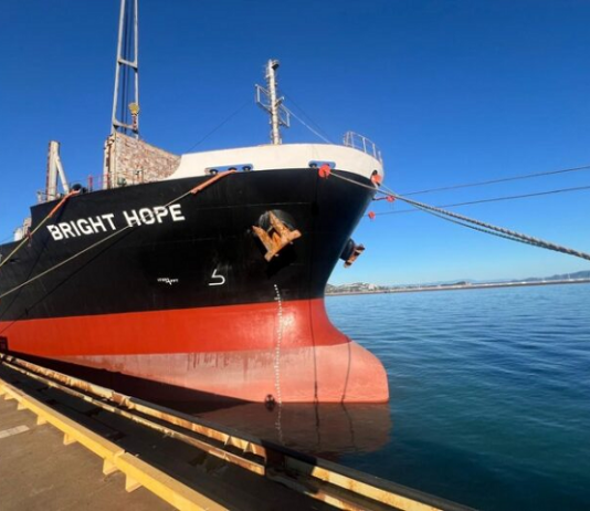 Vinaship Acquires New $9 Million Vessel Amidst Business Downturn
