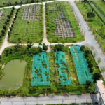 CEO Secures 17-Hectare Urban Development Project After 17 Years, Seeks $55 Million Loan for Investment