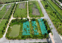 CEO Secures 17-Hectare Urban Development Project After 17 Years, Seeks $55 Million Loan for Investment