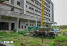 Government Inspectorate Uncovers Multiple Violations in Can Tho Oncology Hospital Project