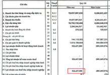 Cà Mau Seafood Company Acknowledges Q3 Loss After Factoring in Loan Interest