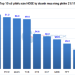 Tracking the Shark Money Flow on November 21: Foreign Investors Net Sell VIX Over 700 Billion VND