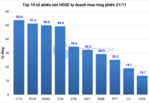 Tracking the Shark Money Flow on November 21: Foreign Investors Net Sell VIX Over 700 Billion VND