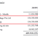New Developments in the $154 Billion Debt Dispute Between SII and Foreign Fund VIAC