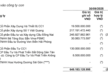 Consecutive Capital Injection Denials by CC1 for Subsidiary and Affiliated Companies