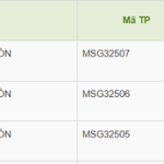 Saigon Match Raises Nearly VND 1.5 Trillion Through Bond Issuance