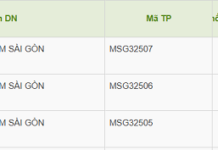 Saigon Match Raises Nearly VND 1.5 Trillion Through Bond Issuance