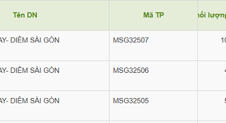 Saigon Match Raises Nearly VND 1.5 Trillion Through Bond Issuance