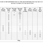 Emergency Relief Fund of VND 80 Billion Allocated to Four Flood-Stricken Provinces