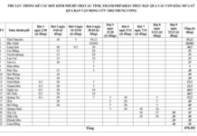 Emergency Relief Fund of VND 80 Billion Allocated to Four Flood-Stricken Provinces